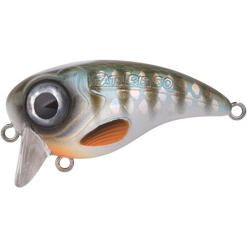 Spro Wobbler Fat Iris Farbe Herring Länge 5,0cm Gewicht 10g