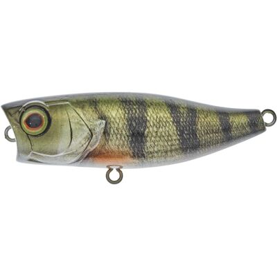 Illex Chubby Popper 42 Farbe RT Perch Länge 4,2cm Illex Chubby Popper 42 Farbe RT Perch Länge 4,2cm