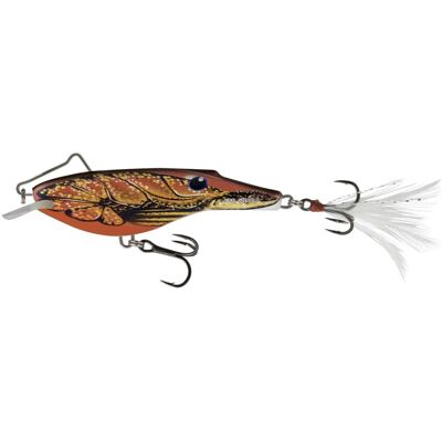 Salmo Wobbler Rail Shad sinking Farbe Fire Craw Salmo Wobbler Rail Shad sinking Farbe Fire Craw