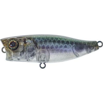 Illex Chubby Popper 42 Farbe RT Bleak Länge 4,2cm Illex Chubby Popper 42 Farbe RT Bleak Länge 4,2cm