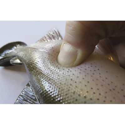 Behr Trendex Super Trout Gummifisch Bachforelle Länge 12cm Gewicht 30g Behr Trendex Super Trout Gummifisch Bachforelle Länge 12cm Gewicht 30g