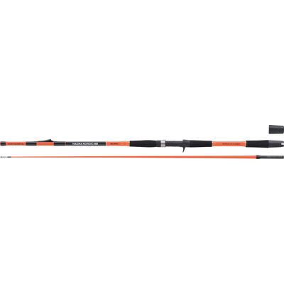 Balzer Steckrute Magna Nordic Neo Boat 25 Länge 2,15m Balzer Steckrute Magna Nordic Neo Boat 25 Länge 2,15m
