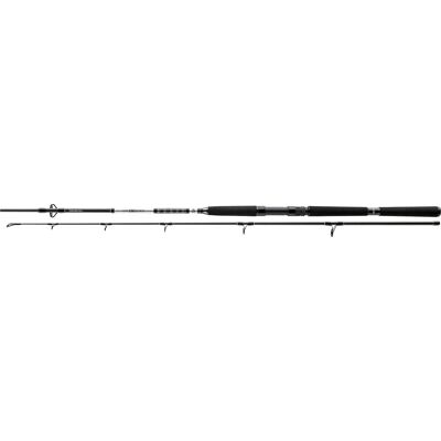 Daiwa Steckrute BG Offshore Boat Länge 2,40m Wurfgewicht 150-400g Daiwa Steckrute BG Offshore Boat Länge 2,40m Wurfgewicht 150-400g