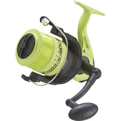 Balzer Alegra Rolle Modul Gothic Surf Balzer Alegra Rolle Modul Gothic Surf