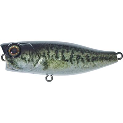 Illex Chubby Popper 42 Farbe RT Biwako Bass Länge 4,2cm Illex Chubby Popper 42 Farbe RT Biwako Bass Länge 4,2cm
