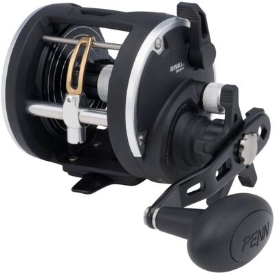 Penn Multirolle RIV30LWLH Rival 30 LW LH Linkshand Salzwasserrolle Norwegenrolle Penn Multirolle RIV30LWLH Rival 30 LW LH Linkshand Salzwasserrolle Norwegenrolle