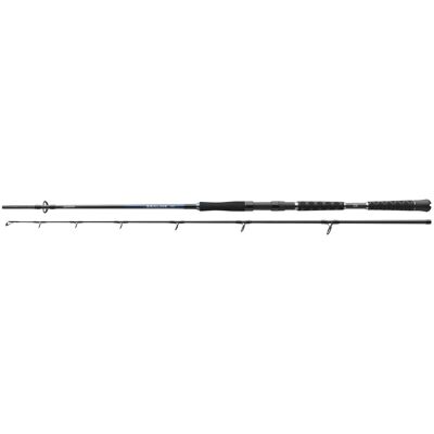 Daiwa Sealine Pilk 2,25m 100-250g Pilkrute Meeresrute Bootsrute Daiwa Sealine Pilk 2,25m 100-250g Pilkrute Meeresrute Bootsrute