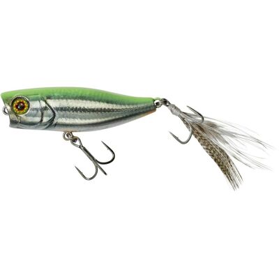 Illex Wobbler CHUBBY POPPER 42 RT VISIBLE ROACH Illex Wobbler CHUBBY POPPER 42 RT VISIBLE ROACH