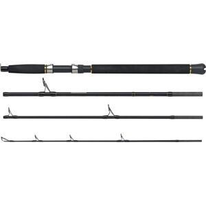 World Fishing Tackle Pilk-Reise-Steckrute Seadart Special Fjord 2,1m, 40-400g