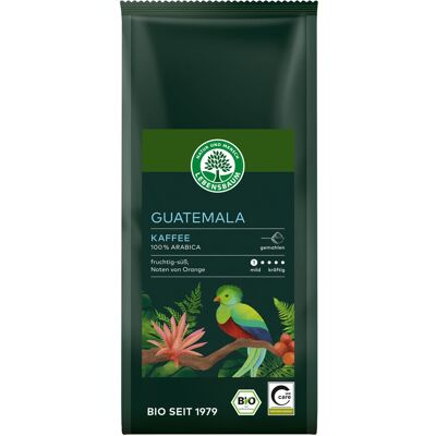 LEBENSBAUM *Bio Guatemala Kaffee, gemahlen (250g) LEBENSBAUM *Bio Guatemala Kaffee, gemahlen (250g)