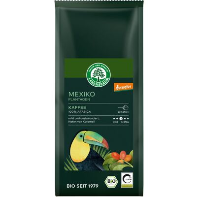 LEBENSBAUM *Bio Mexiko Plantagen Kaffee, gemahlen (250g) LEBENSBAUM *Bio Mexiko Plantagen Kaffee, gemahlen (250g)
