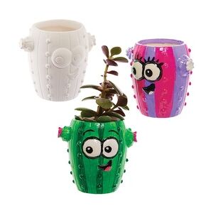 Ross Kaktus-Mini-Keramik Sukkulenten-Töpfe (Box mit 4) Keramik & Porzellan