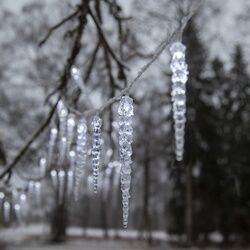 MARELIDA LED Lichterkette Eiszapfen - 40 Eiszapfen - 8 Lauflichtfunktionen - L: 6m - Timer - f√or Au√üen