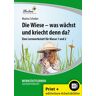 Nein Wiese - was wächst und kriecht denn da?