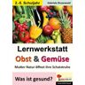 Nein Lernwerkstatt Obst & Gemüse