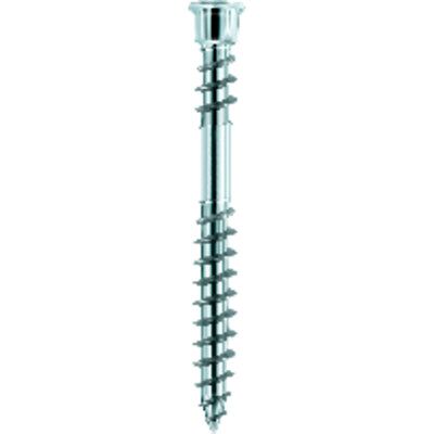 Eurotec Terrassotec Edelstahl Gehärtet 5,5 X 70 Tx25 Eurotec Terrassotec Edelstahl Gehärtet 5,5 X 70 Tx25