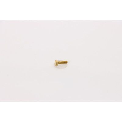 Elmag Messing-Schraube M5x16 Für Induktionsheizkopf-Befestigung Elmag Messing-Schraube M5x16 Für Induktionsheizkopf-Befestigung