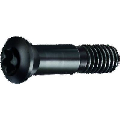 Gühring Spannschraube 6128 Werksnorm Blank T15 M3,5 X 12mm Gühring Spannschraube 6128 Werksnorm Blank T15 M3,5 X 12mm