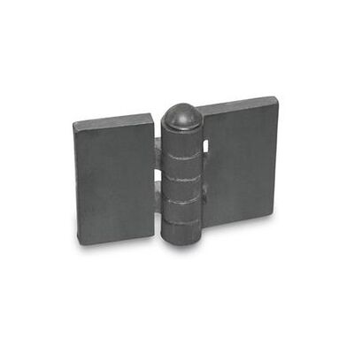 Ganter Modell 1366-St-120-40-A-Bl - Scharniere Ganter Modell 1366-St-120-40-A-Bl - Scharniere