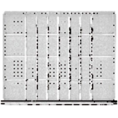 ANKE Schubladenteiler-Set - 750x600mm - 1/8 Division - 60mm Fronthöhe ANKE Schubladenteiler-Set - 750x600mm - 1/8 Division - 60mm Fronthöhe