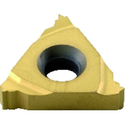 Format Gewindewendeschneidplatte A 60g Vollprofil Tn16 El 125 M U 9035, 10 Stück Format Gewindewendeschneidplatte A 60g Vollprofil Tn16 El 125 M U 9035, 10 Stück