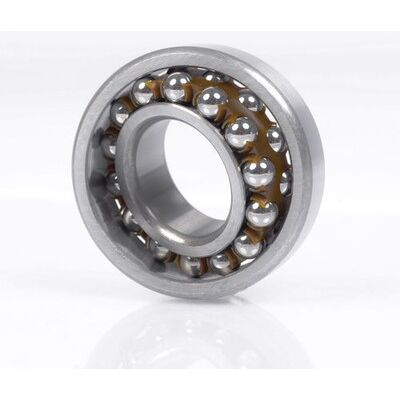SKF 1309 EKTN9 Zweireihiges Kugellager - Kugellager SKF 1309 EKTN9 Zweireihiges Kugellager - Kugellager