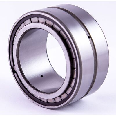 INA SL185009-A Zylindrisches Rollenlager - Max. Drehzahl 5500 U/min INA SL185009-A Zylindrisches Rollenlager - Max. Drehzahl 5500 U/min
