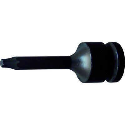 Projahn 1/2" Schlag Stecknuss Tx T60 Projahn 1/2" Schlag Stecknuss Tx T60