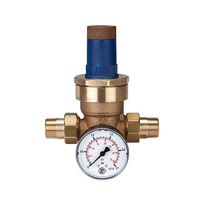 Riegler Druckregler Für Wasser, Inkl. Manometer, R 1/2, 0,2 - 2 Bar (100.121) Riegler Druckregler Für Wasser, Inkl. Manometer, R 1/2, 0,2 - 2 Bar (100.121)