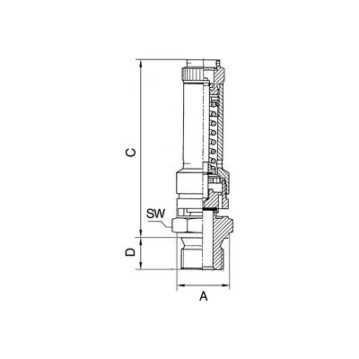 Riegler Sicherheitsventil Dn 8, Messing, G 1/4, Ansprechdruck 34 Bar (226.01-34,0) Riegler Sicherheitsventil Dn 8, Messing, G 1/4, Ansprechdruck 34 Bar (226.01-34,0)