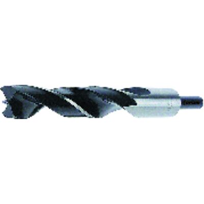 Forum - Holzspiralbohrer 16 x 162 mm - Holzbohrer Forum - Holzspiralbohrer 16 x 162 mm - Holzbohrer