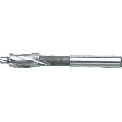 Fortis Flachsenker Hss Din 373 M M6 Fortis Flachsenker Hss Din 373 M M6