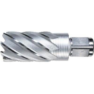 Alfra 1907035050 Kernbohrer - 35/50 mm HSS-Co5 Stahl Alfra 1907035050 Kernbohrer - 35/50 mm HSS-Co5 Stahl