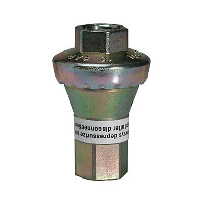 Riegler Inline-Druckregler, 2 X Ig, Ohne Sekundärentlüftung, G 1/4, 1 Bar (637.11) Riegler Inline-Druckregler, 2 X Ig, Ohne Sekundärentlüftung, G 1/4, 1 Bar (637.11)
