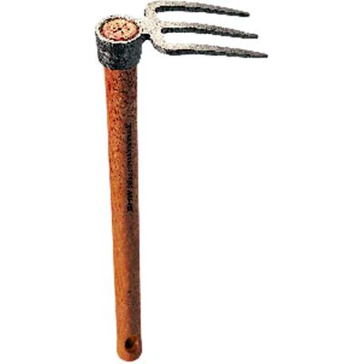 Shw Rex Häckchen Mit 3 Zinken, Mit Stiel 40cm Lang Shw Rex Häckchen Mit 3 Zinken, Mit Stiel 40cm Lang