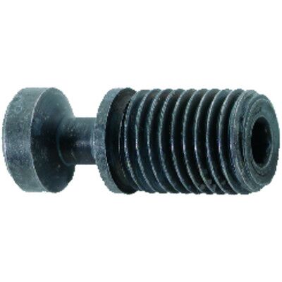 Format Spannschraube M6x16,7 T08 Format Spannschraube M6x16,7 T08