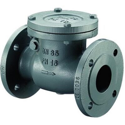 BOSCH Installationszubehör RK16-65, Rückschlagklappe PN 16 DN 65 - 7736602678 BOSCH Installationszubehör RK16-65, Rückschlagklappe PN 16 DN 65 - 7736602678