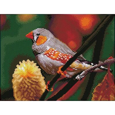 Pracht Diamond Painting Vogel Gouldamadine 40,9 x 31 cm Pracht Diamond Painting Vogel Gouldamadine 40,9 x 31 cm