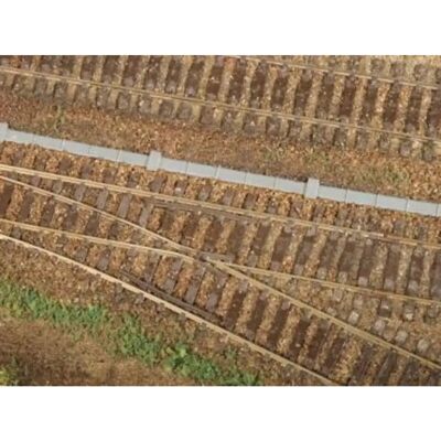 Auhagen 41616 Abdeck- und Umlenkkästen für Spannseile, Spur H0 Auhagen 41616 Abdeck- und Umlenkkästen für Spannseile, Spur H0