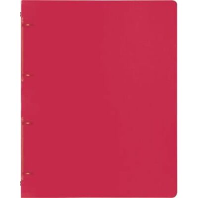 BRUNNEN Ringbuch FACT!pp A4 rot BRUNNEN Ringbuch FACT!pp A4 rot