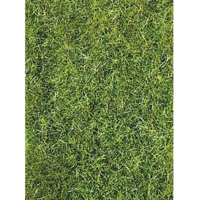 Heki 3369 Grasfaser Wildgras dunkelgrün, 5-6mm, 75g Heki 3369 Grasfaser Wildgras dunkelgrün, 5-6mm, 75g