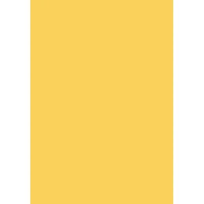 Livepac Office Tonzeichenkarton 250gm² altgold, 100 Blatt Livepac Office Tonzeichenkarton 250gm² altgold, 100 Blatt