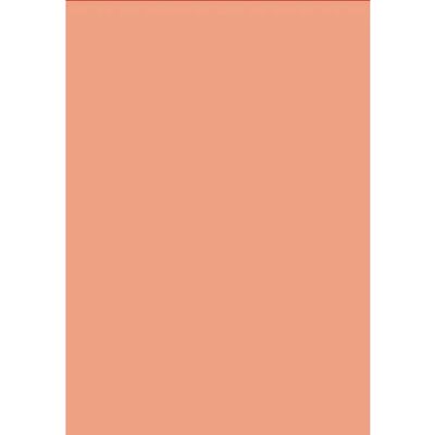 Livepac Office Tonzeichenkarton 250gm² rosa, 100 Blatt Livepac Office Tonzeichenkarton 250gm² rosa, 100 Blatt