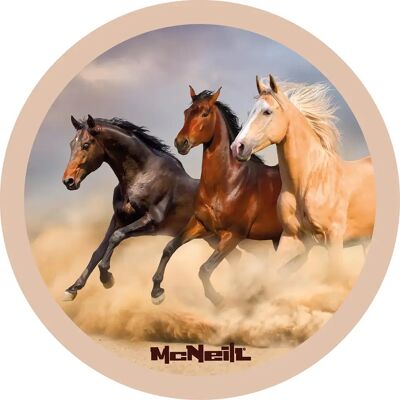 McNeill McAddys zu Schulranzen Pferde: 3erGruppe McNeill McAddys zu Schulranzen Pferde: 3erGruppe