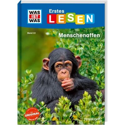 TESSLOFF 378867678 WAS IST WAS Erstes Lesen Band 22. Menschenaffen TESSLOFF 378867678 WAS IST WAS Erstes Lesen Band 22. Menschenaffen