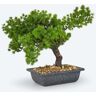 Künstlicher Bonsai