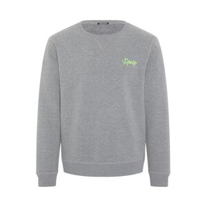 Chiemsee Sweatshirt Herren Baumwolle Rundhals bedruckt, grau