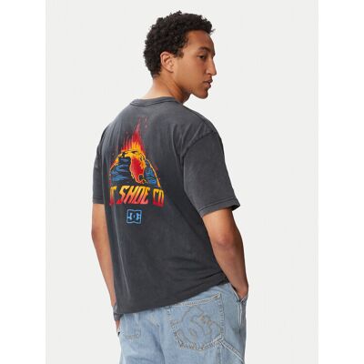DC Shoes T-Shirt Free Fall ADYZT05466 Schwarz Regular Fit M male DC Shoes T-Shirt Free Fall ADYZT05466 Schwarz Regular Fit M male