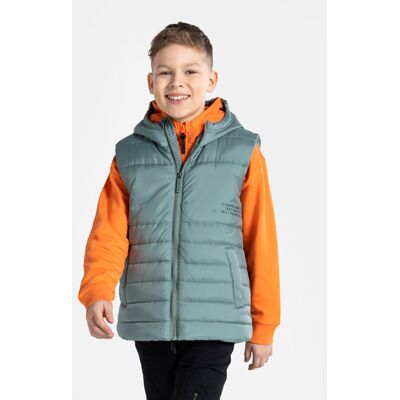 Coccodrillo Weste WC4178101OBK Grün Regular Fit 122 male Coccodrillo Weste WC4178101OBK Grün Regular Fit 122 male