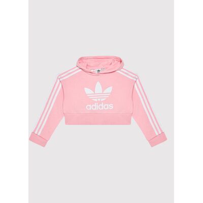 adidas Sweatshirt adicolor Cropped HD2008 Rosa Loose Fit 12_13Y female adidas Sweatshirt adicolor Cropped HD2008 Rosa Loose Fit 12_13Y female
